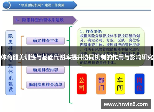体育健美训练与基础代谢率提升协同机制的作用与影响研究